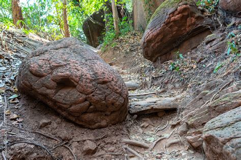 snake rock thailand|Exploring Naka Cave: An Adventure in Thailand